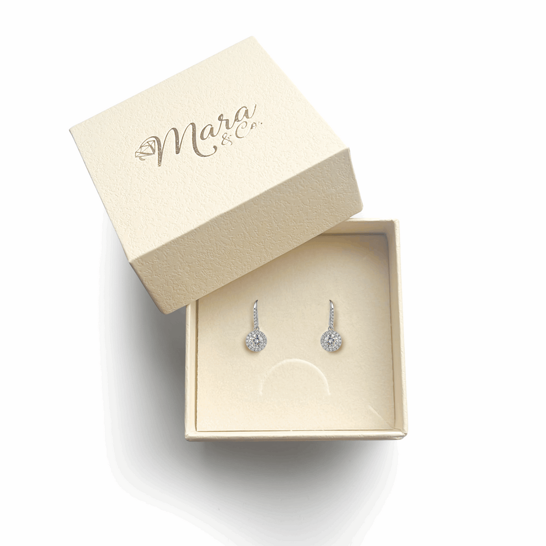 Moissanite Round Halo Drop Hook Earrings